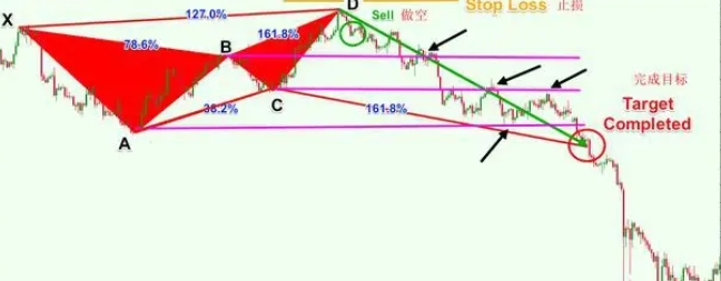 澳汇ausforex平台：准确率超高的外汇交易策略—蝴蝶形态(7)