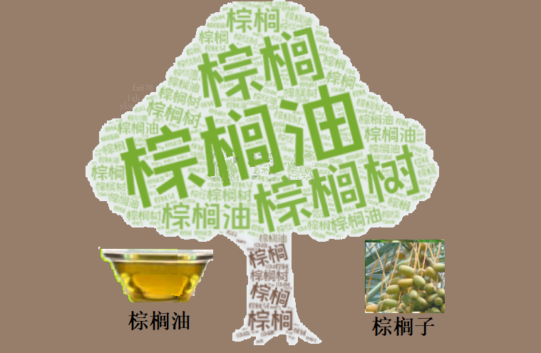 减产支撑VS需求疑虑：棕榈油价格“弹簧”已压至关键节点(1)